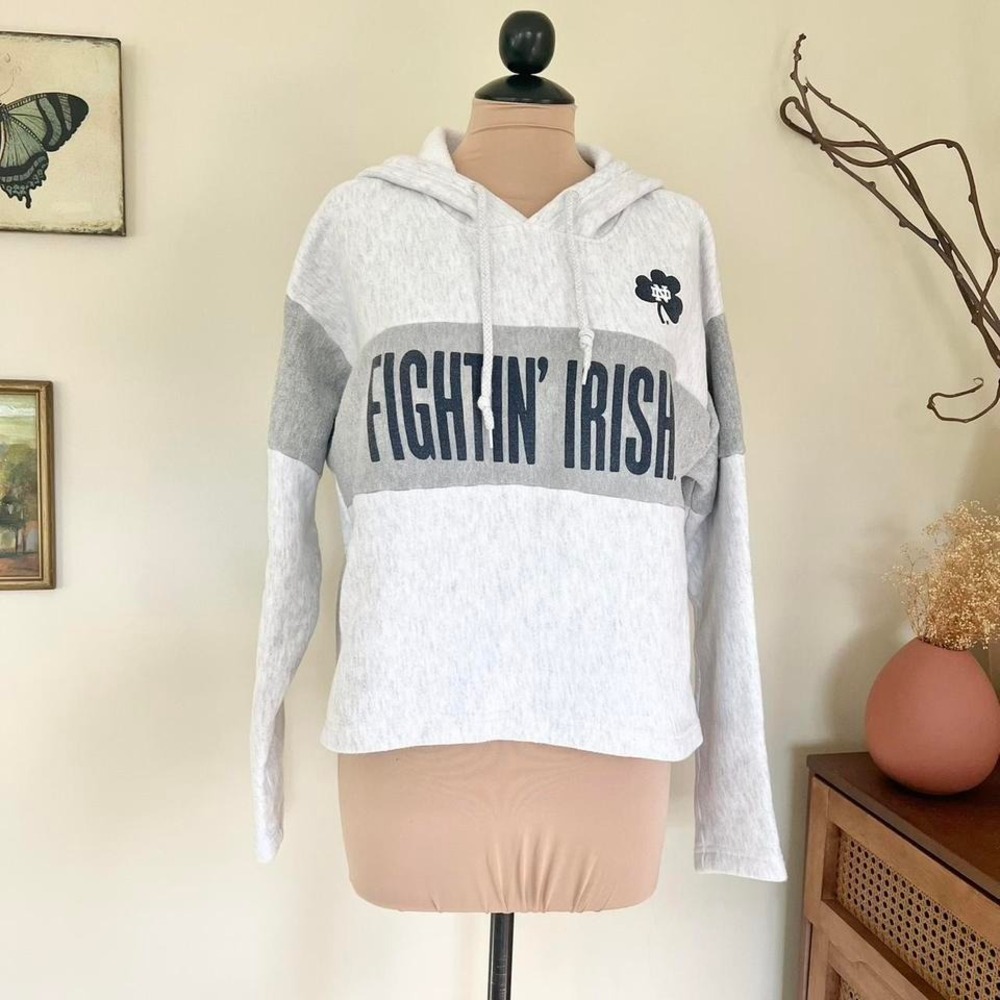Vintage Champion Notre Dame Fighting Irish‎ Color Block Hoodie